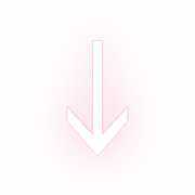 261