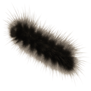 036