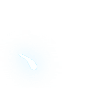 256