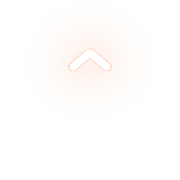 231