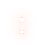 244