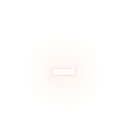 251