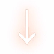 261