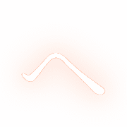 029