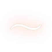 224