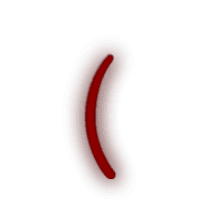 234