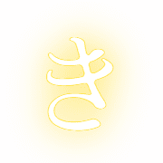 007