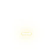 251