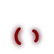 048
