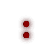 244
