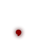 245