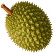 009