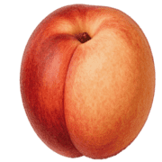 016