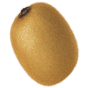 019