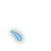 256