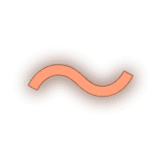 224