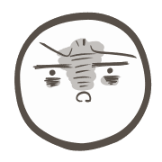 020