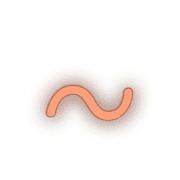 224