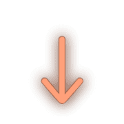 261