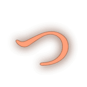 018
