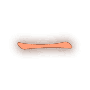 161