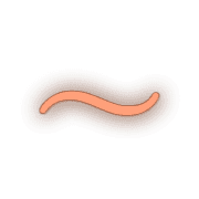 224