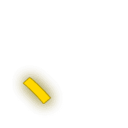 256