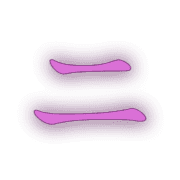 102