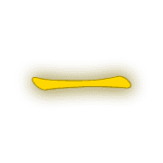 161