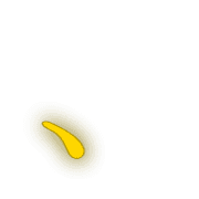 256
