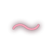 224