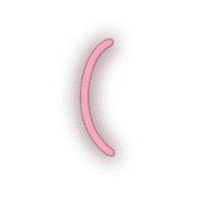 234