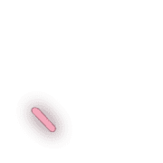 256