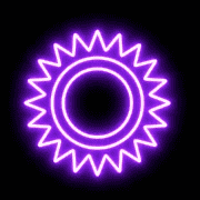 113