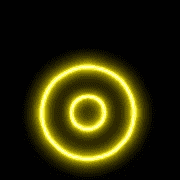 041