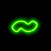 063