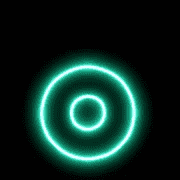 041