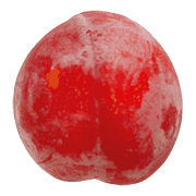 017