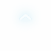 231