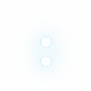 244