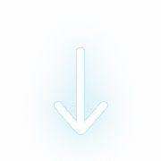 261