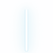 242