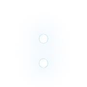 244