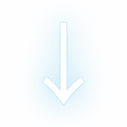 261