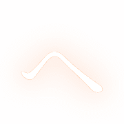 029