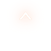 231