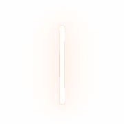 242
