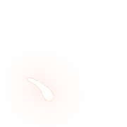 256