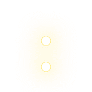 244