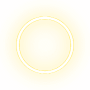 264
